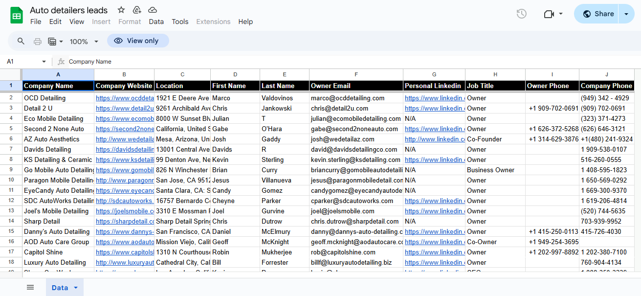 Auto Detailers Leads